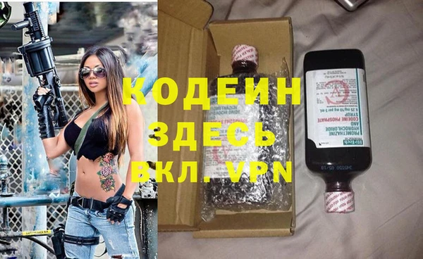 стаф Алзамай