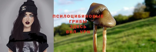 дживик Алексин