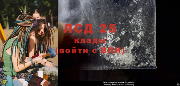 стаф Алзамай